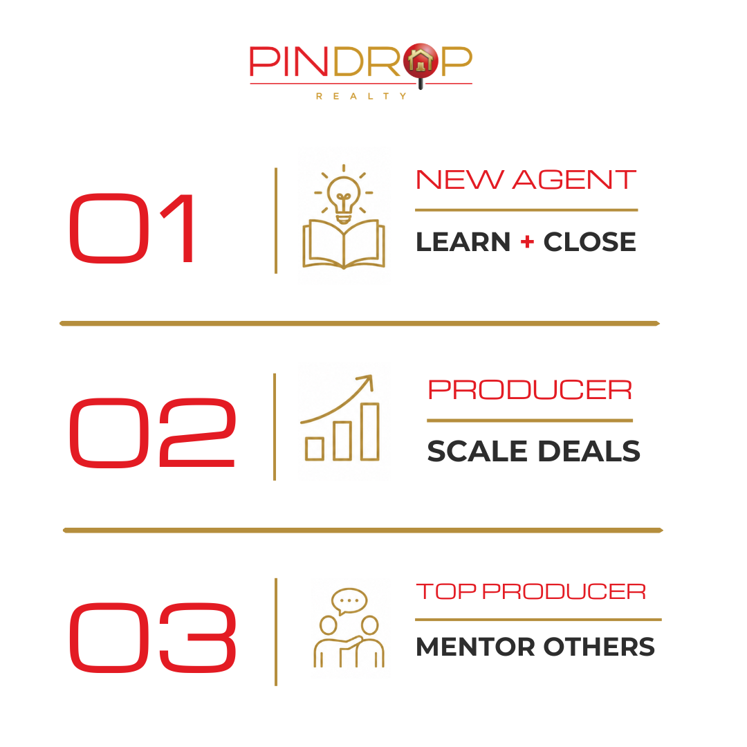 Pindrop Process
